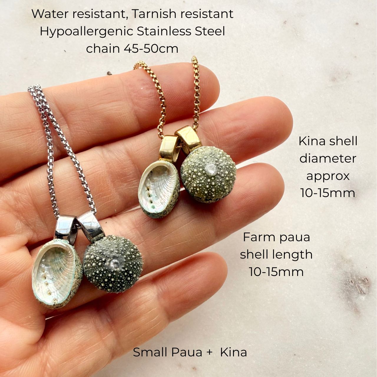 Paua & Kina Shell Pair Necklace (BEST SELLER)