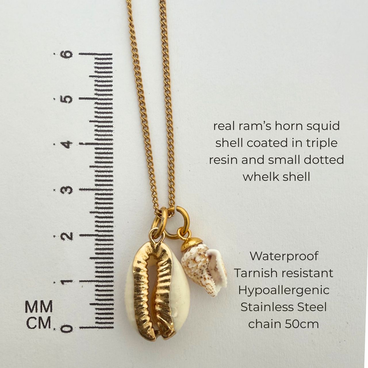 Gilded Edge Cowrie & Small Whelk Shell Story Necklace