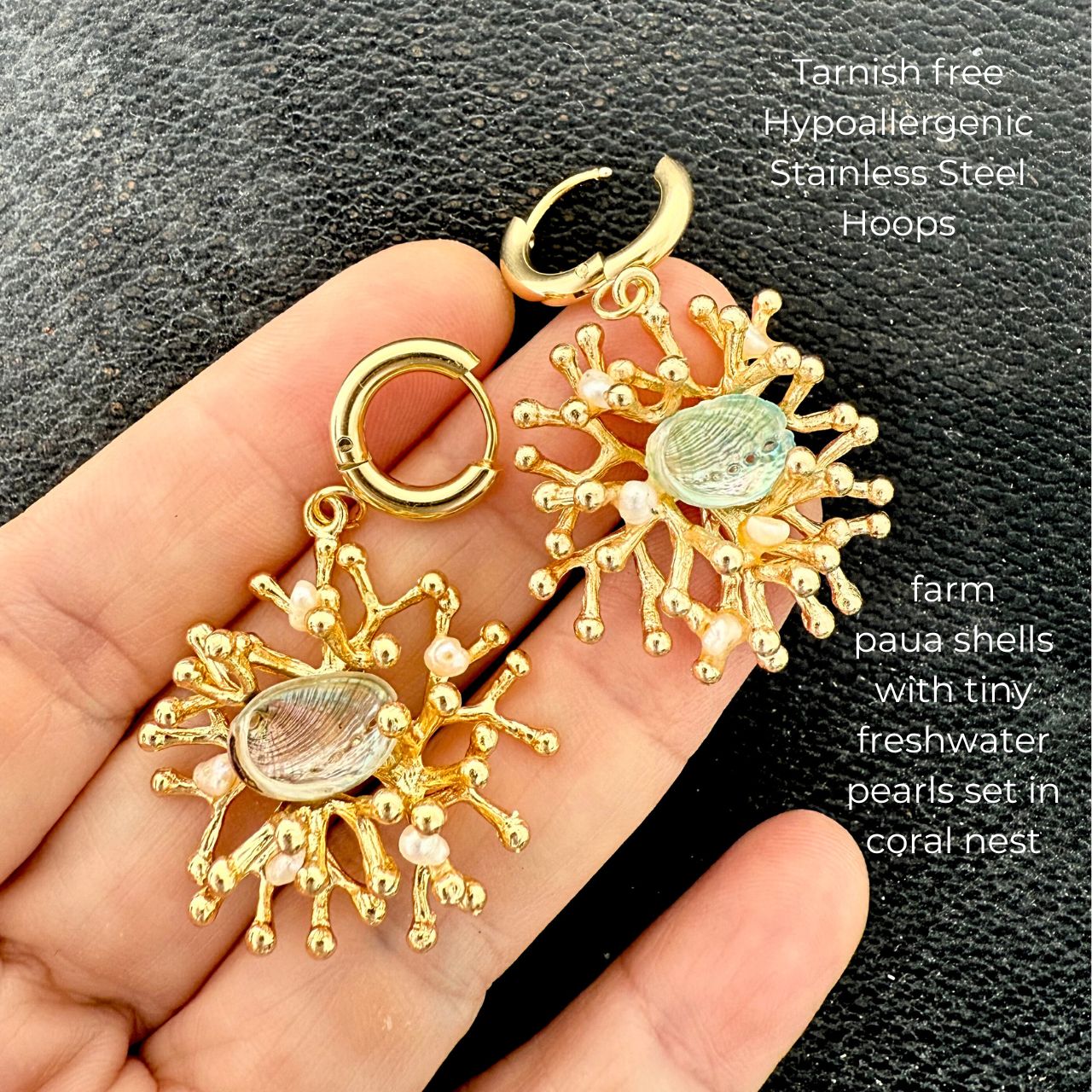 Pāua & Pearl Coral Nest Earrings (Gold)