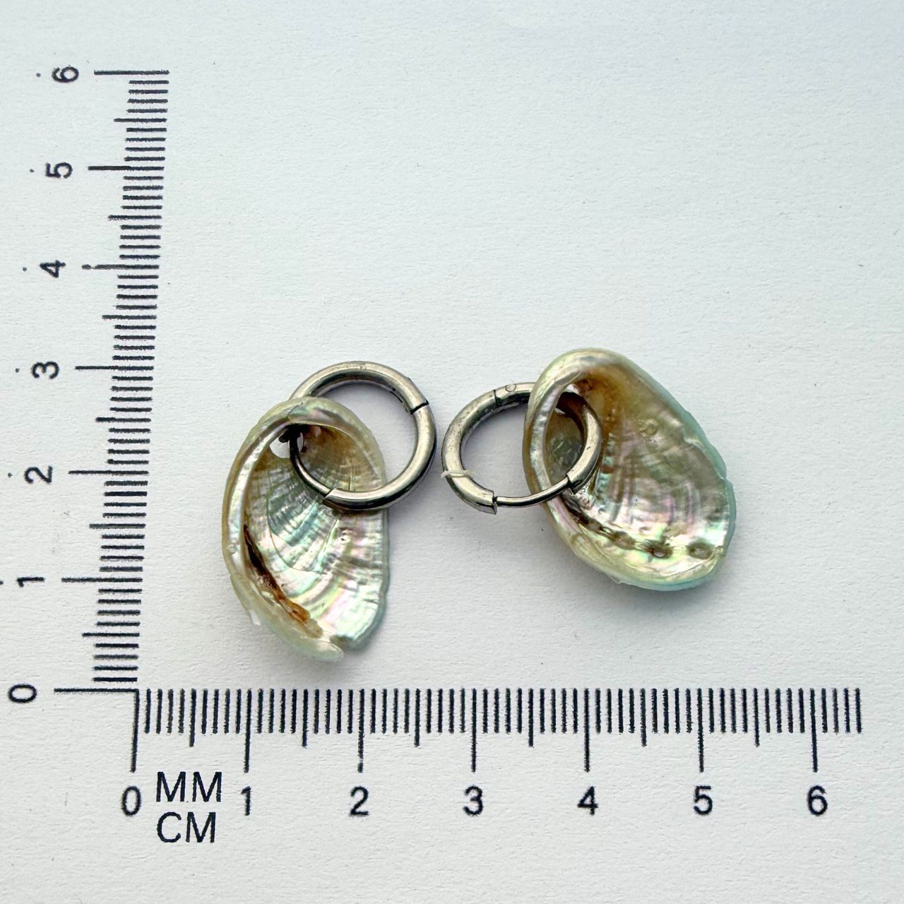 Paua Shell 20-25mm Hoops