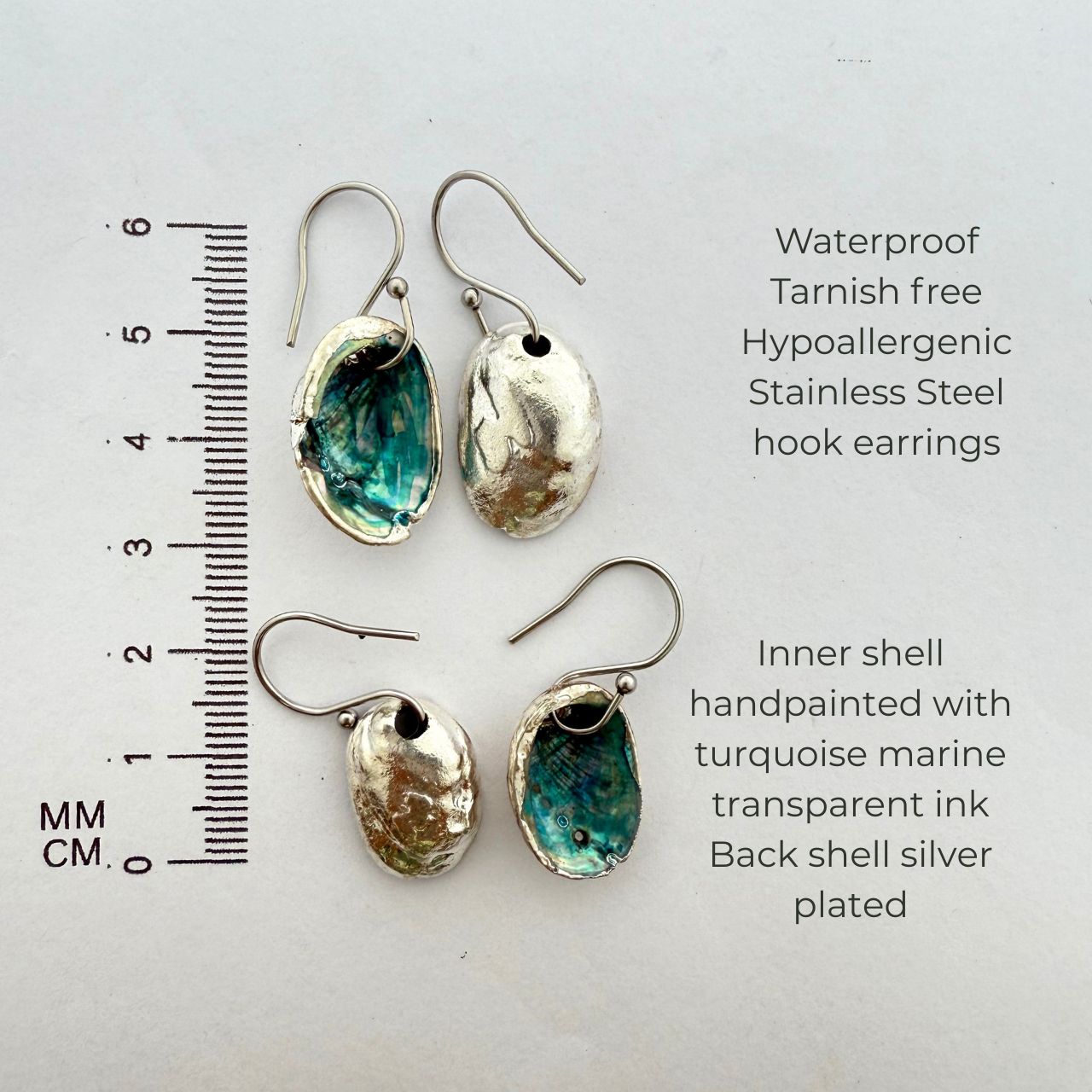 Farm Paua Shell Hook Earrings (Silver Back)