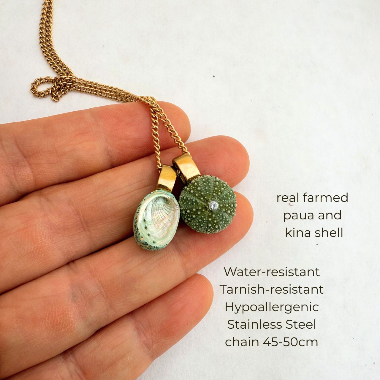 Paua & Kina Shell Pair Necklace (BEST SELLER) - Curb chain