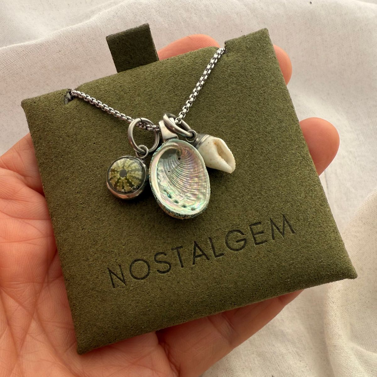 Whānau Shell Story Necklace: Kina, Paua & Whelk