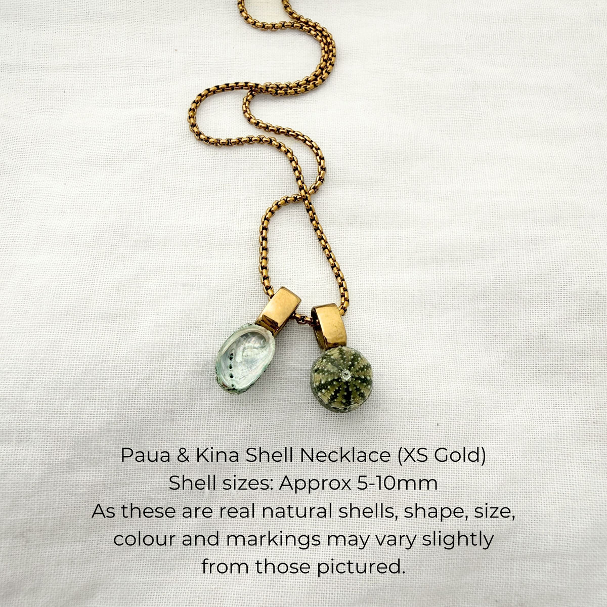 Miniature Pāua Shell Pair Necklace