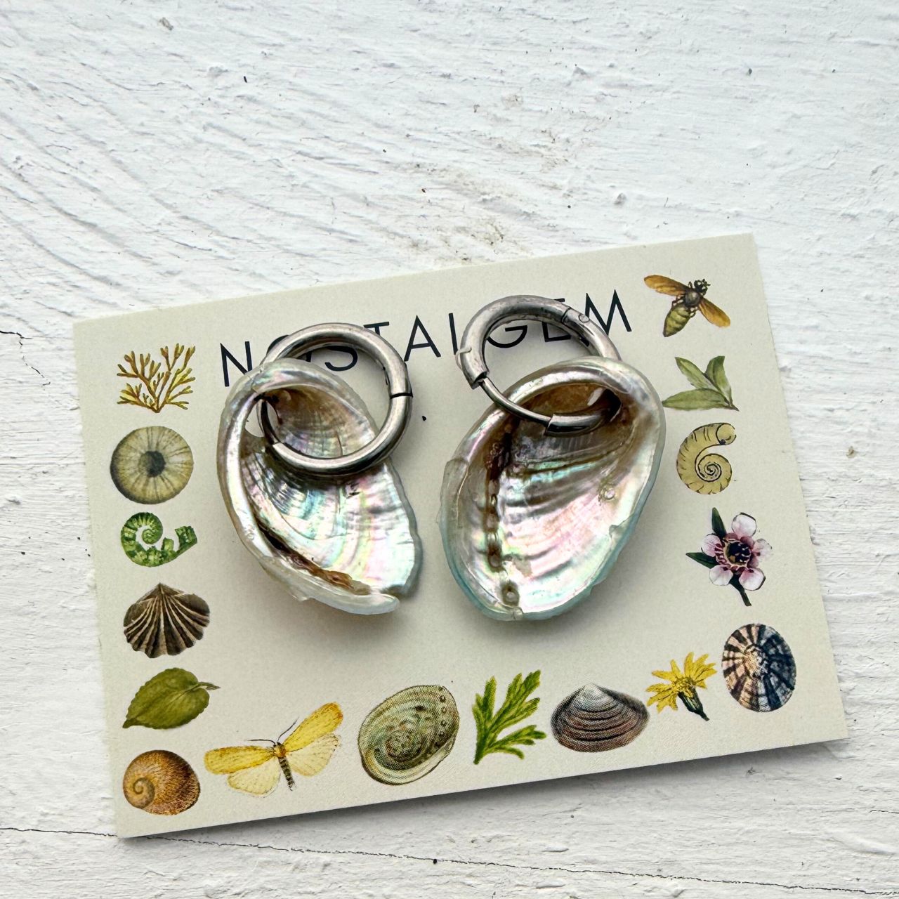 Paua Shell 20-25mm Hoops