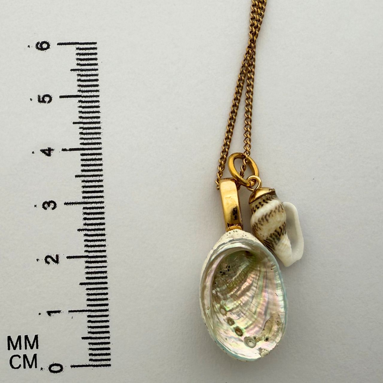 Shell Story Necklace: Paua And Tiny Whelk Pair (Gold)