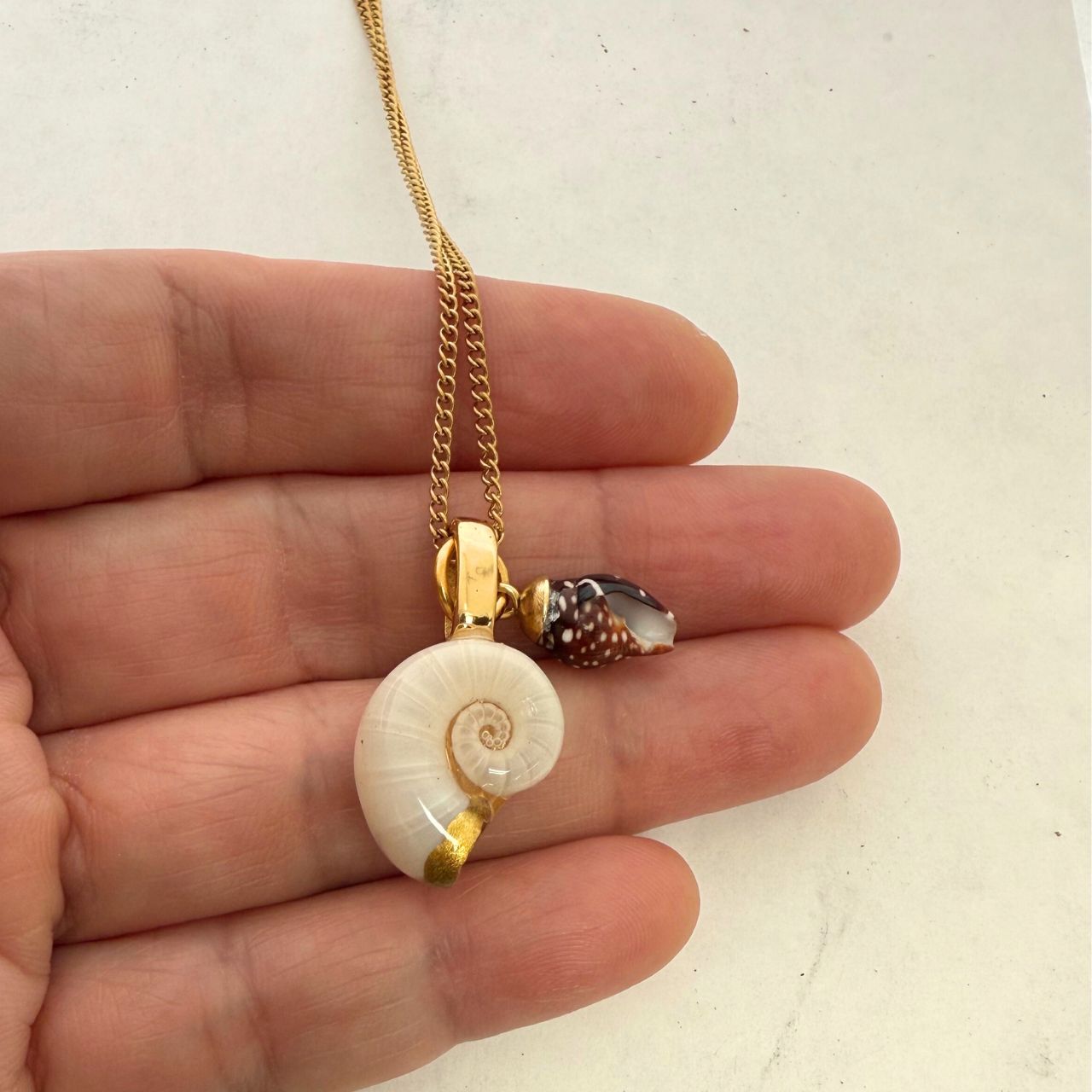 Ram's Horn & Spotted Whelk Shell Story Necklace