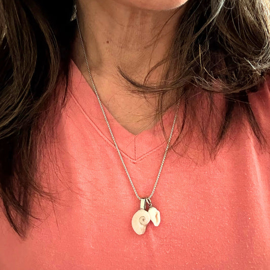 Ram's Horn & Whelk Shell Story Necklace (Silver)