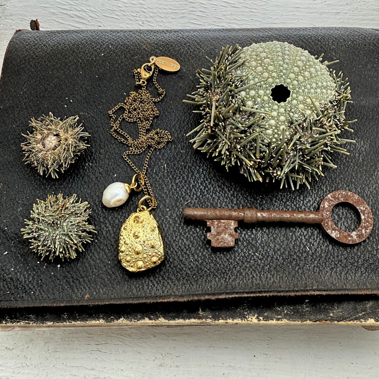 Broken Kina Shell & Baroque Pearl Necklace (Gold)