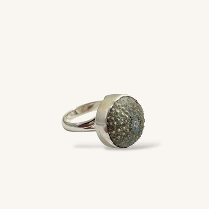 Tiny Whole Kina Shell (15-18mm) Sterling Silver Adjustable Ring