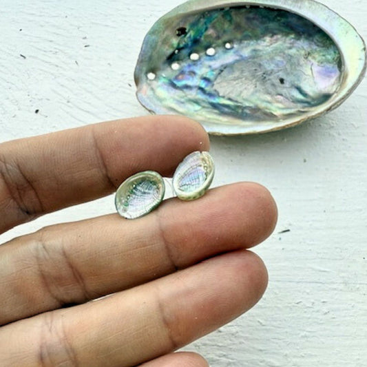 Tiny Farm Paua Shell Stud Earrings