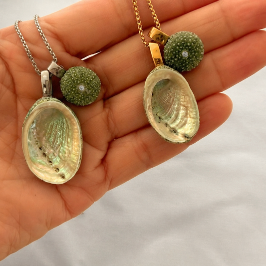 Paua & Kina Shell Pair Necklace (Large)