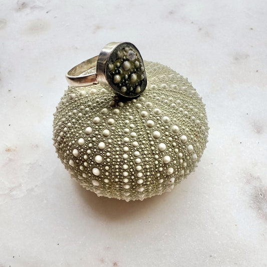 Broken Kina Sterling Silver Ring