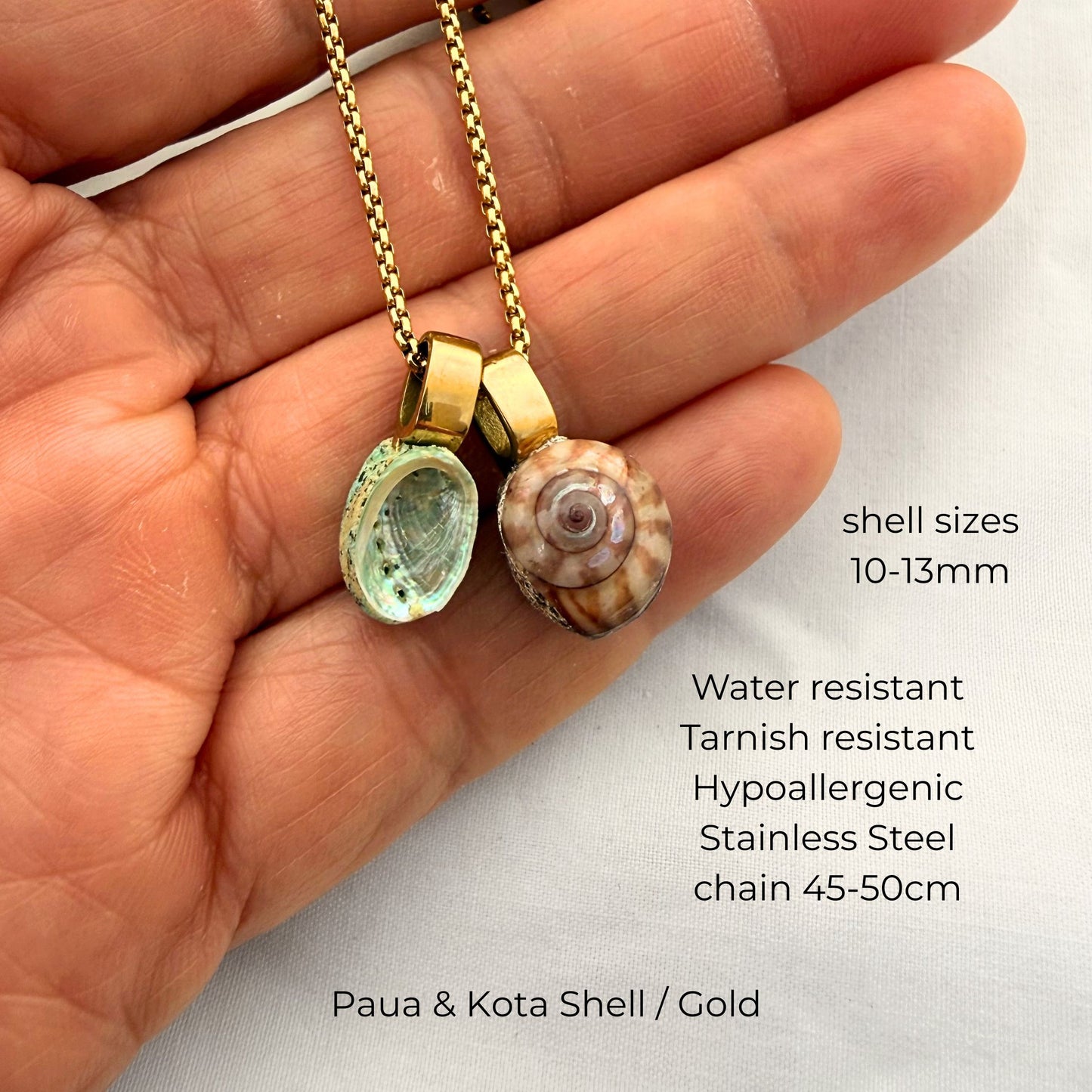 Miniature Pāua Shell Pair Necklace
