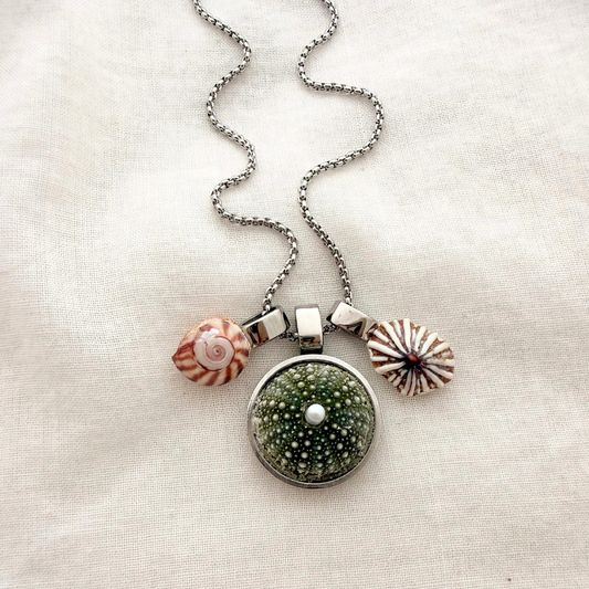 Shell Story Trio Necklace: Kota, Kina & Limpet