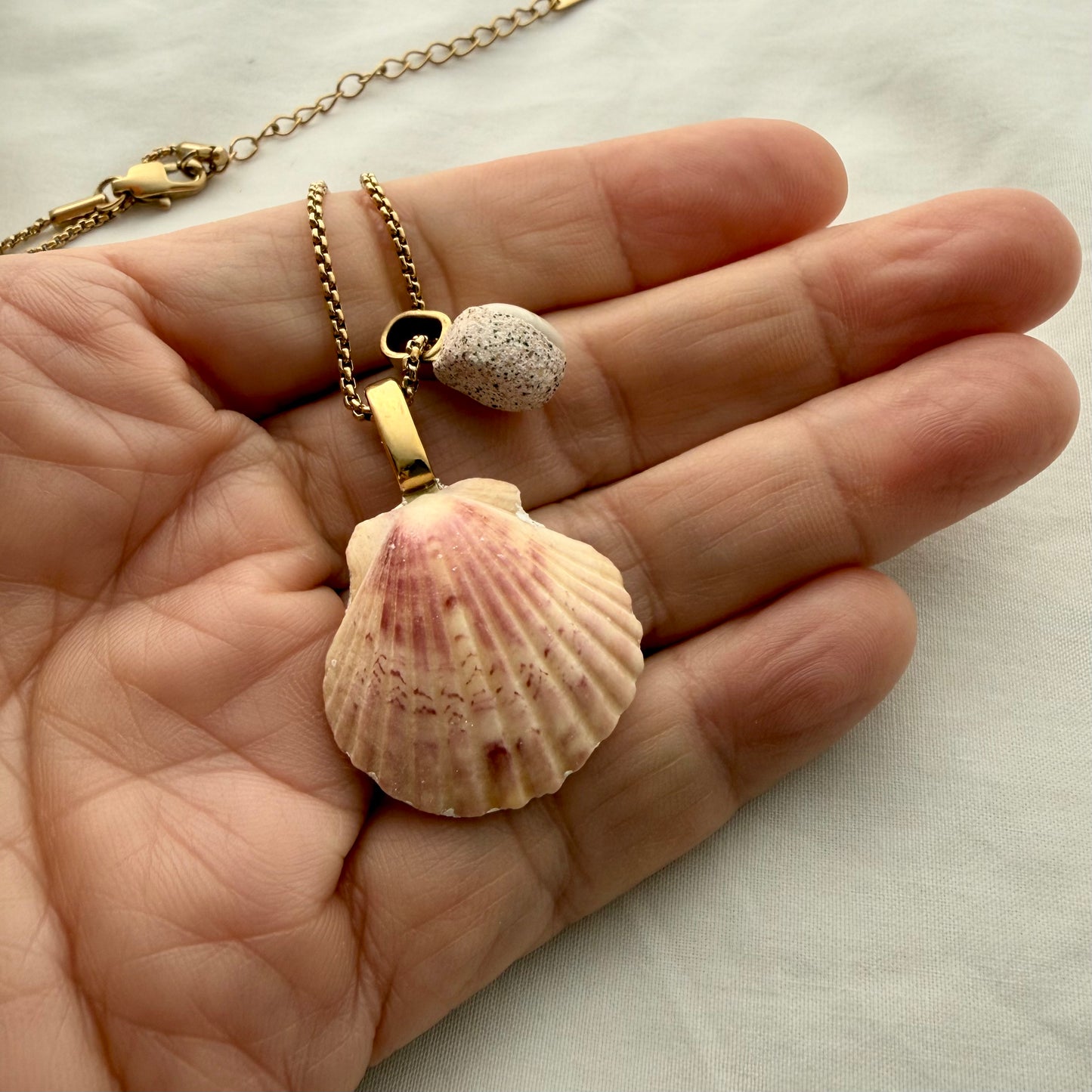 Scallop & Spiral Shell Pair Necklace (Gold)
