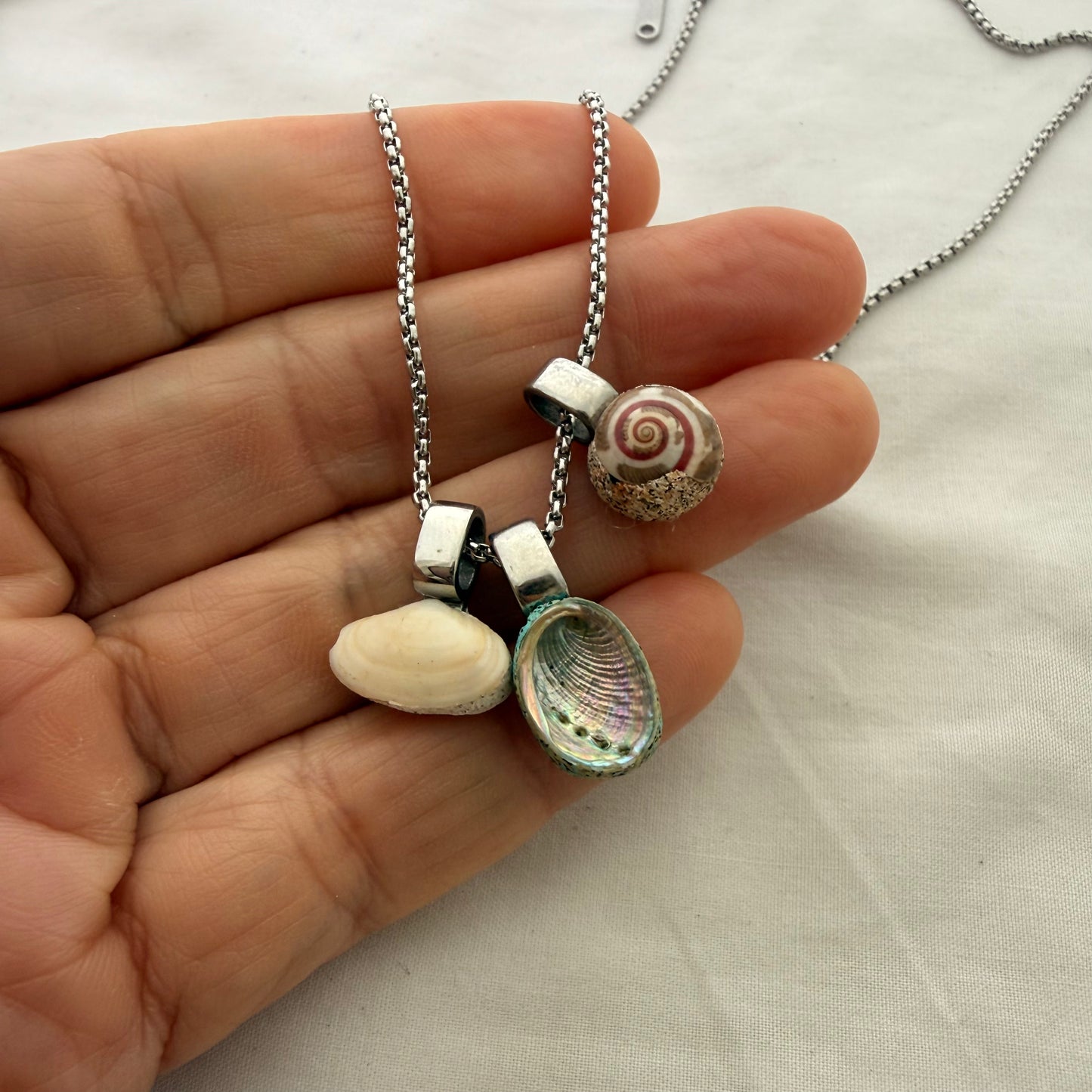 Shell Story Trio Necklace: Pipi, Paua & Pinwheel