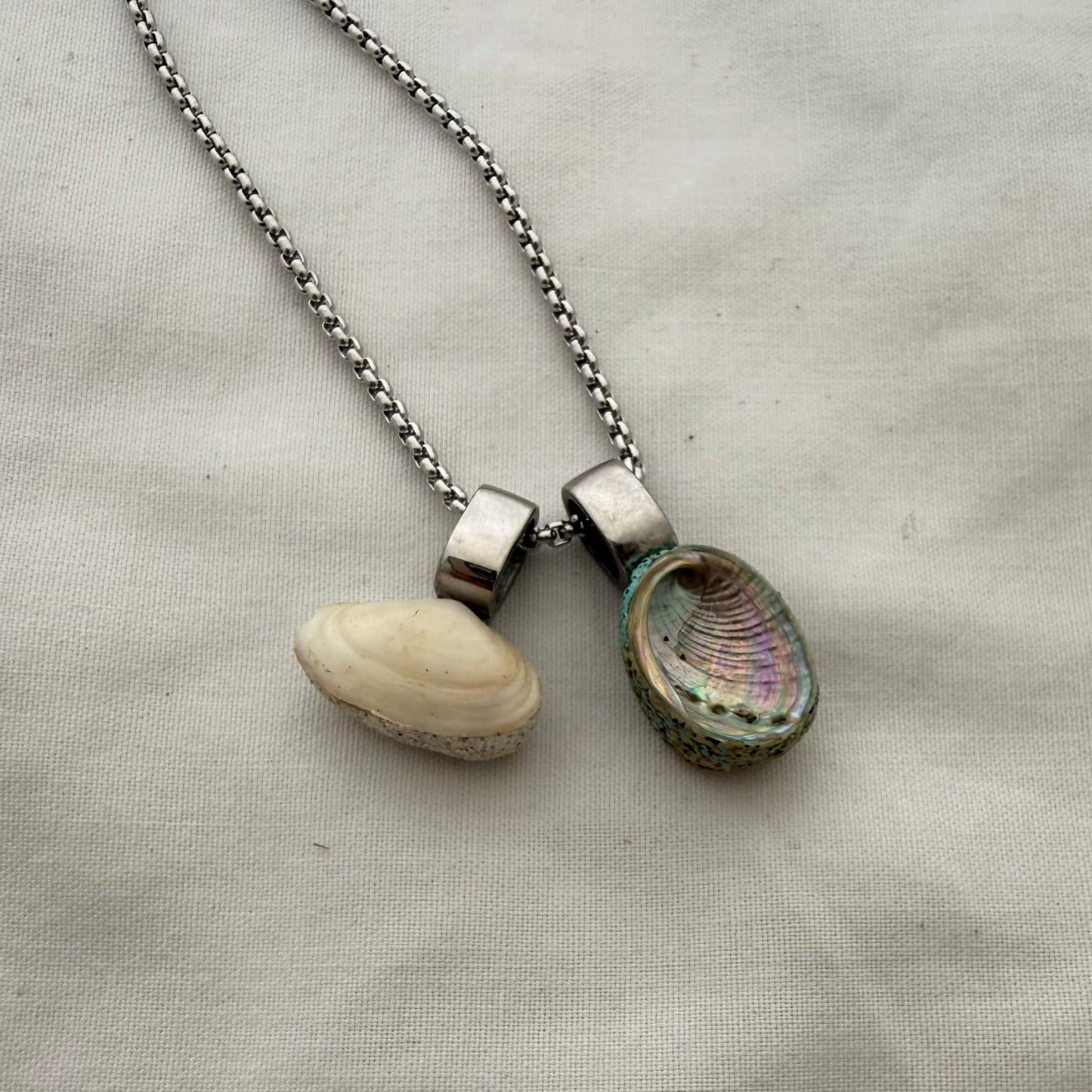 Shell Story Trio Necklace: Pipi, Paua & Pinwheel