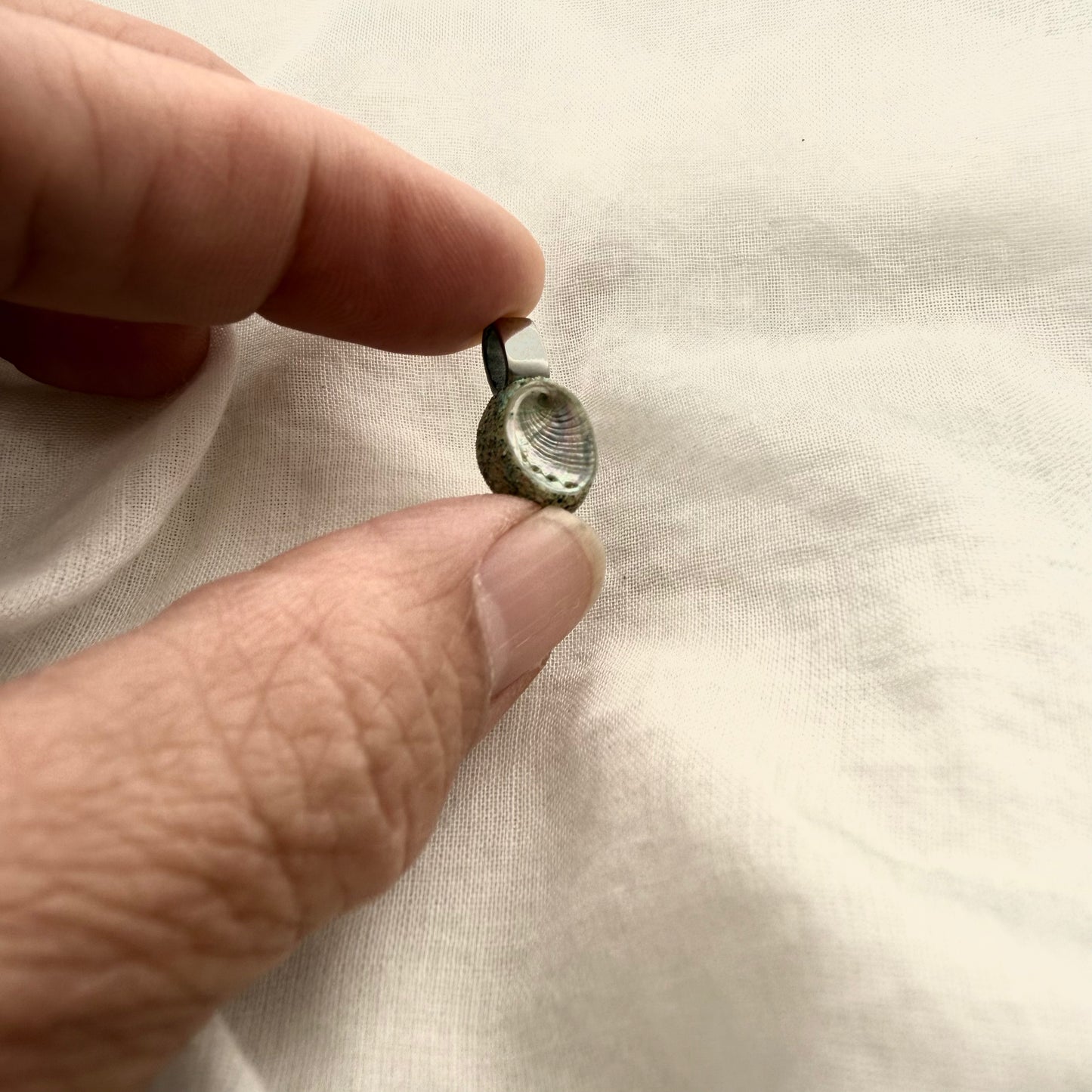 Tiny Paua Shell Pendant (10mm)