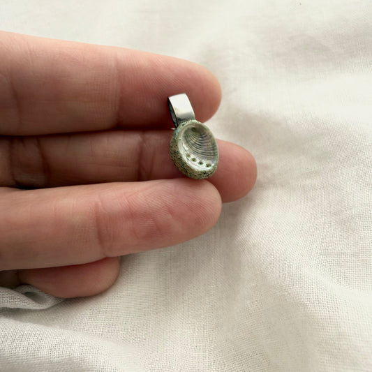 Tiny Paua Shell Pendant (10mm)