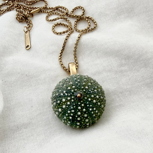 Whole Kina Single Pendant Necklace (30mm)