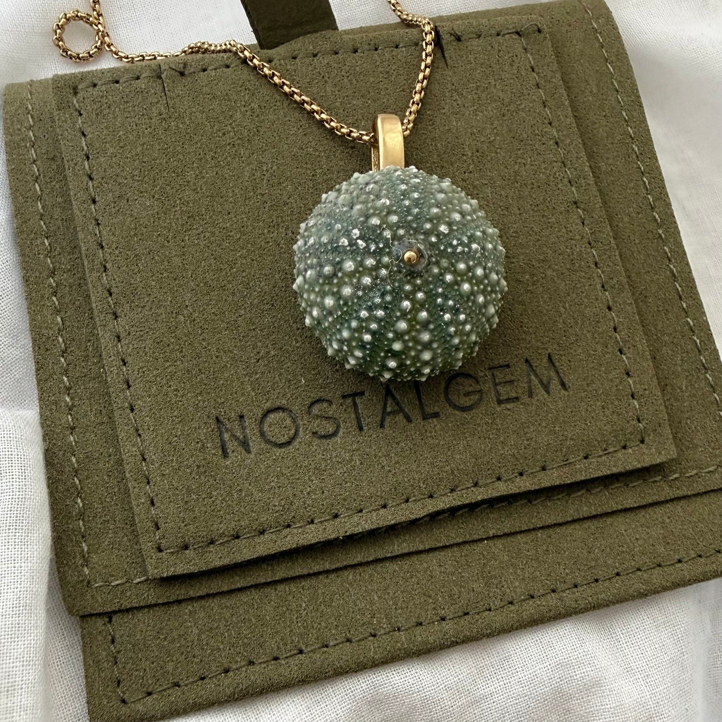 Whole Kina Single Pendant Necklace (30mm)