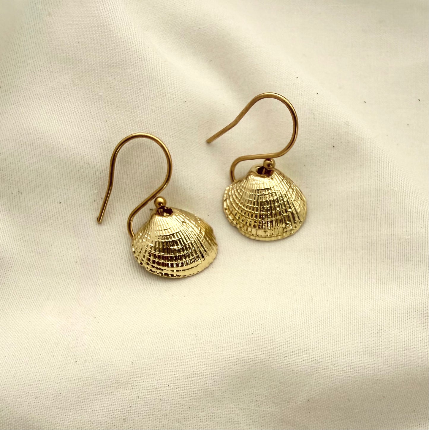 Cockle Shell Hook Earrings Gold Plated