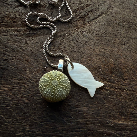Whole Kina & Mother of Pearl Fish Pair Necklace