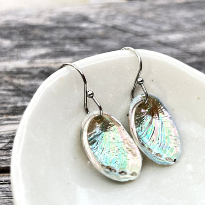 SS34 - Farm Paua Shell 20mm French Hook Earrings (Surgical Steel)