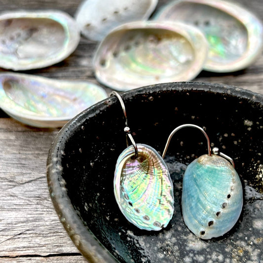 Farm Paua Shell 20-30mm French Hook Earrings (Surgical Steel)