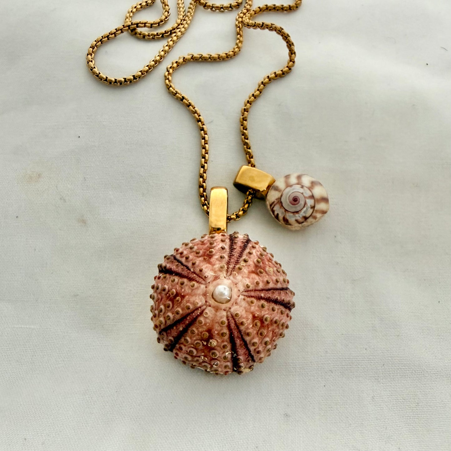 Pink Kina & Kota Wheel Shell Pair Necklace