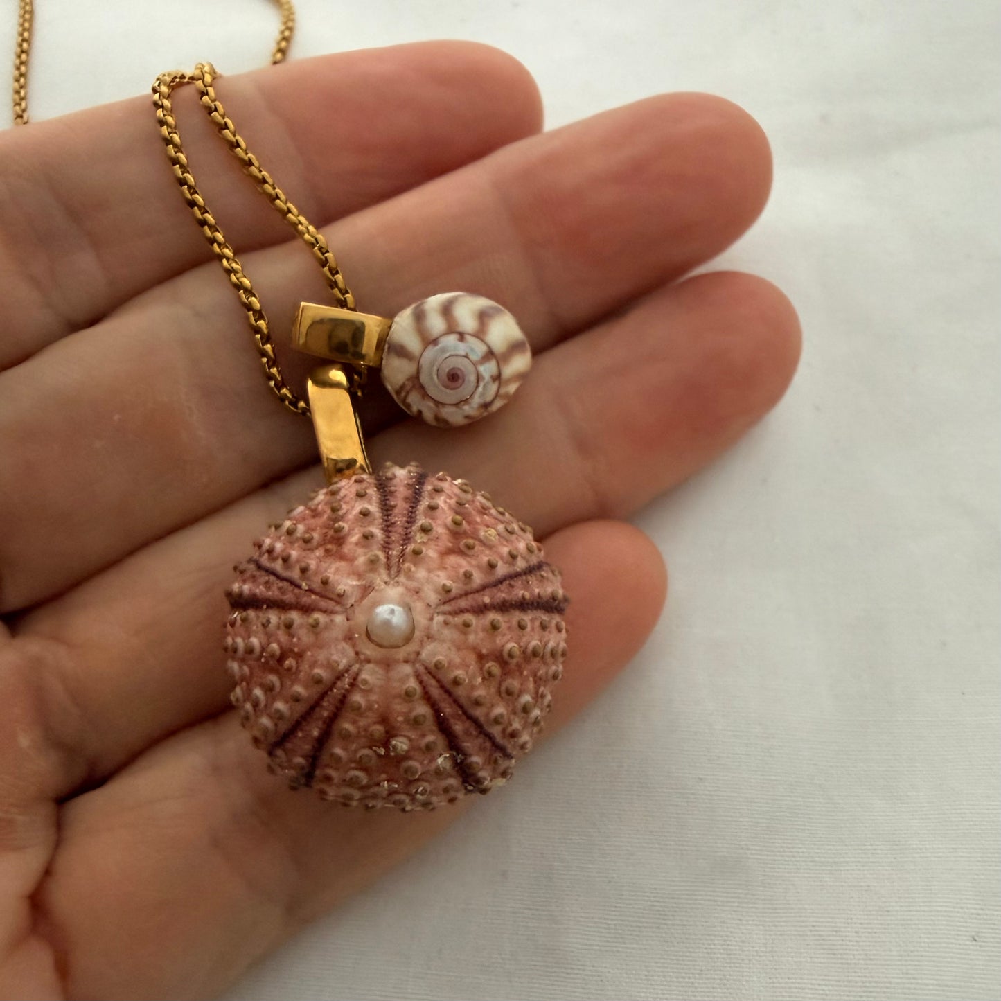 Pink Kina & Kota Wheel Shell Pair Necklace