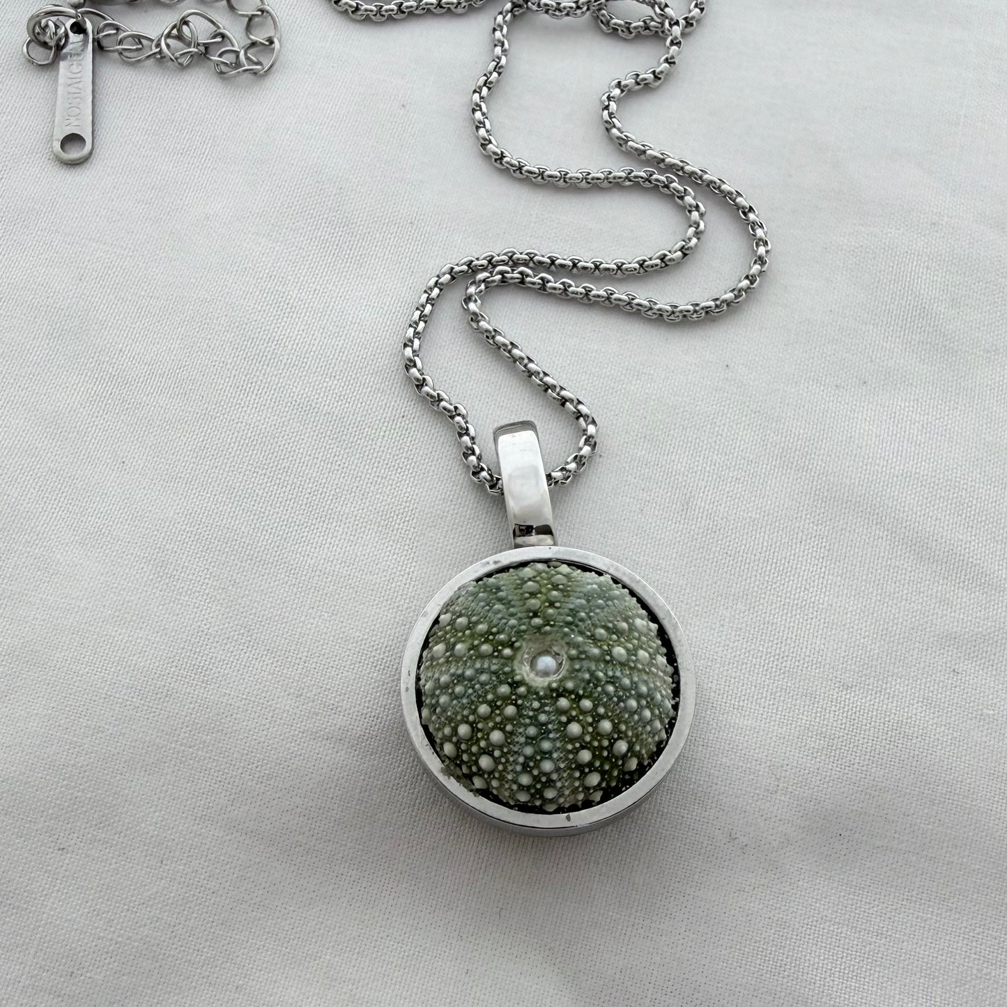 Framed Kina Pendant Necklace