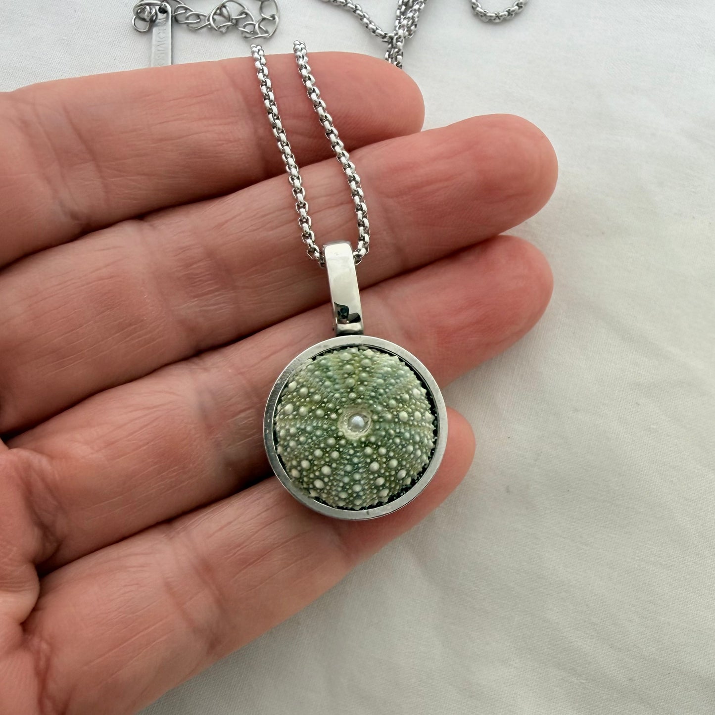 Framed Kina Pendant Necklace