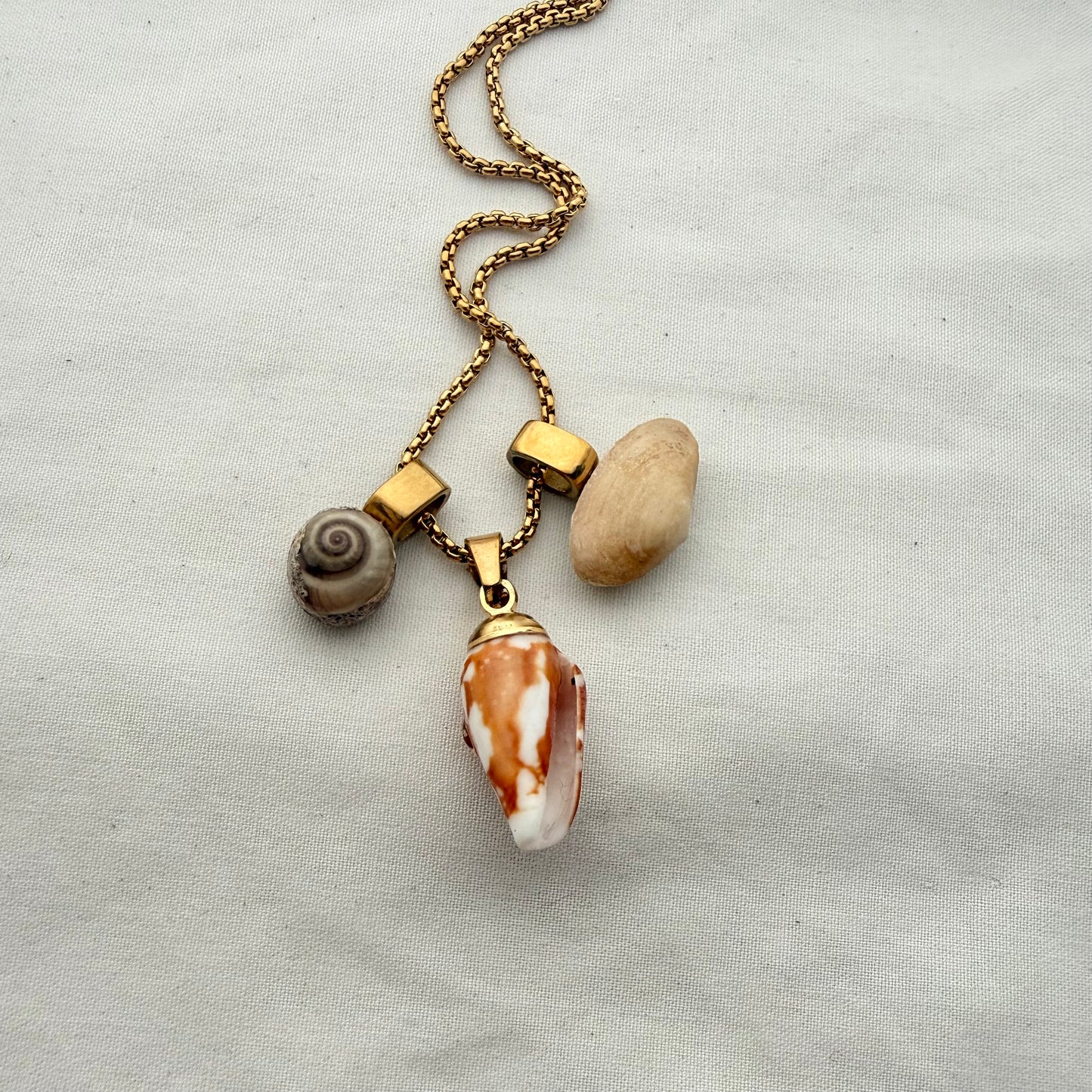 Shell Story Trio Necklace: Wheel, Cone & Pipi