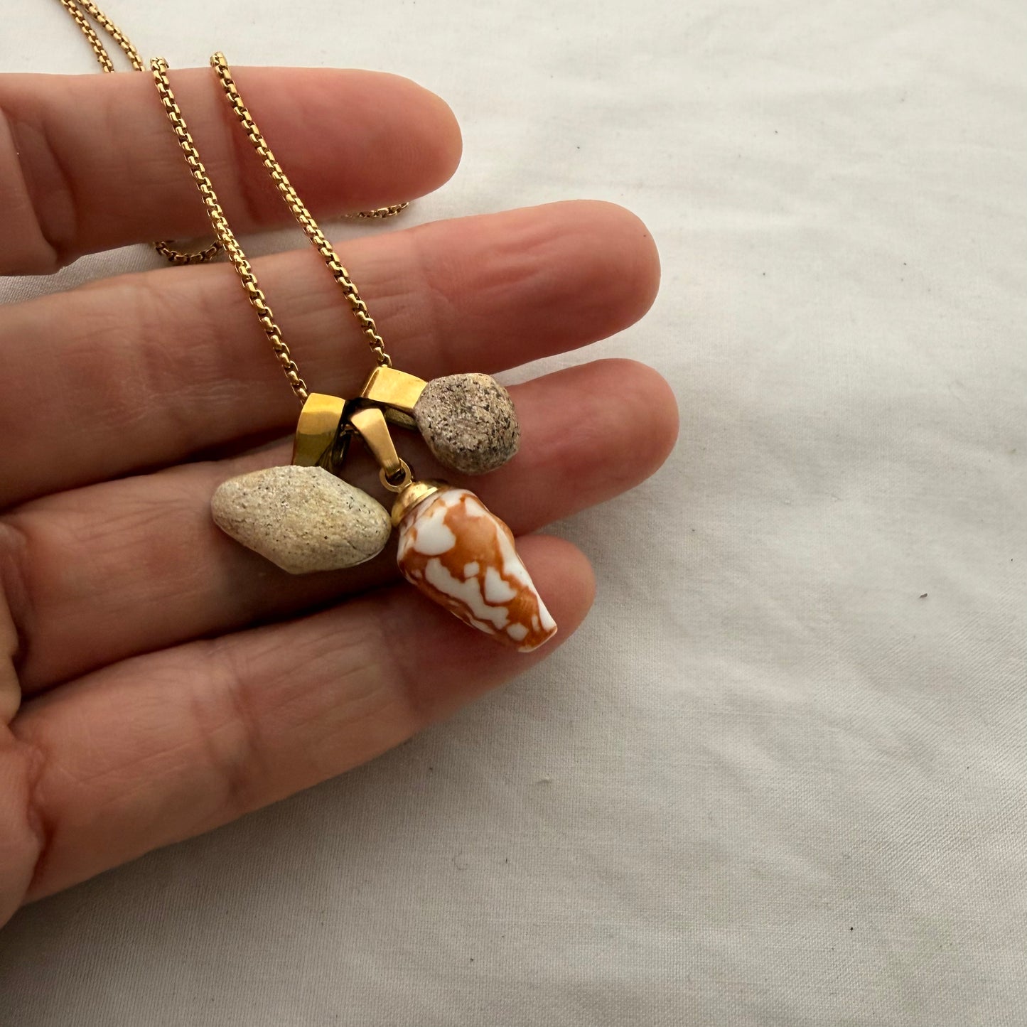 Shell Story Trio Necklace: Wheel, Cone & Pipi