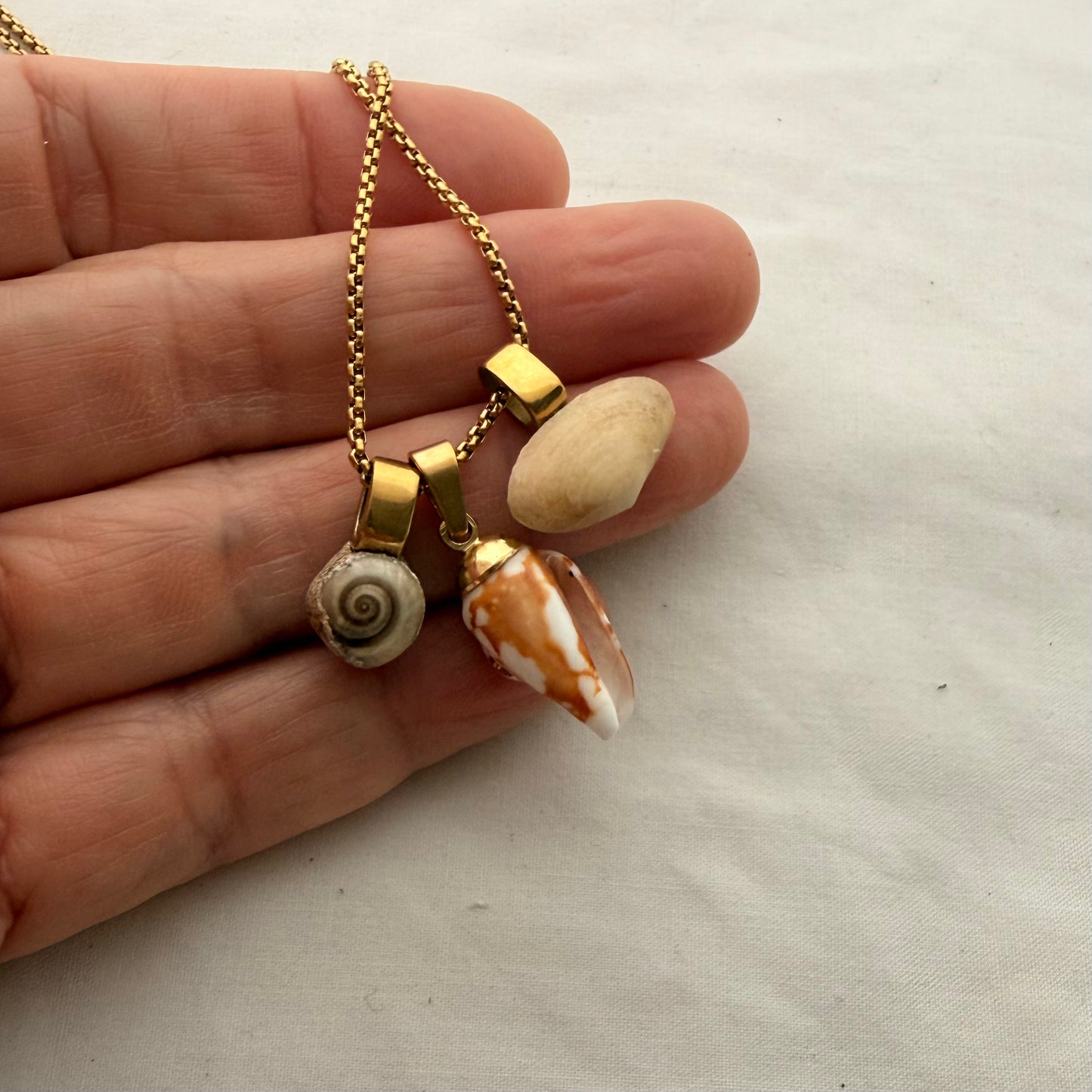 Shell Story Trio Necklace: Wheel, Cone & Pipi