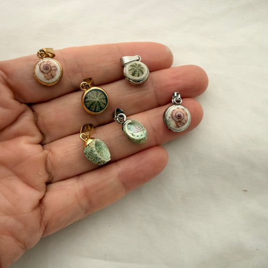 Miniature Shell Charm Add-On