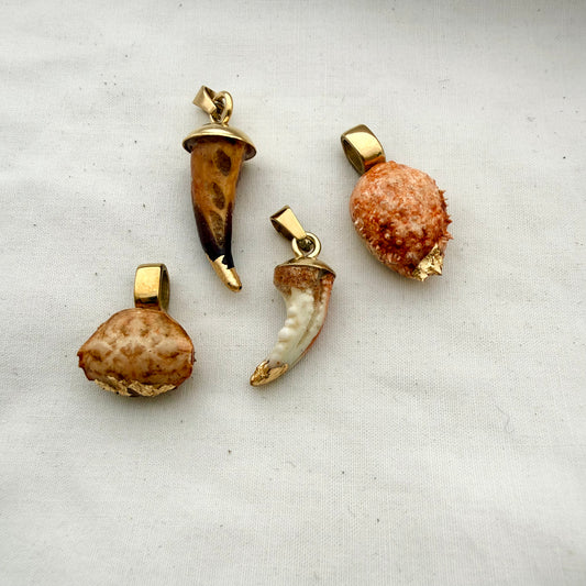 Clawed Creature Charms