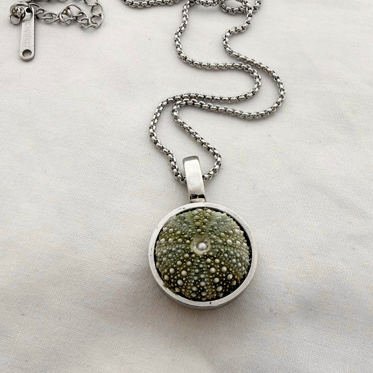 Framed Kina Pendant Necklace