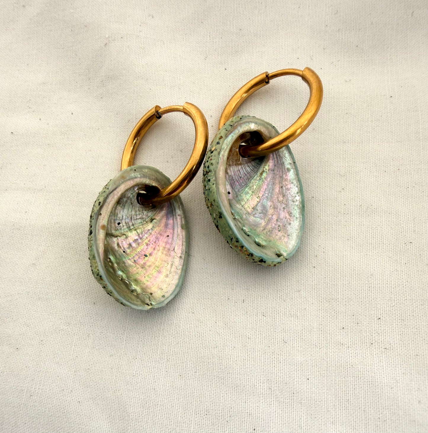 Beachsand Pāua Hoop Earrings (25mm)