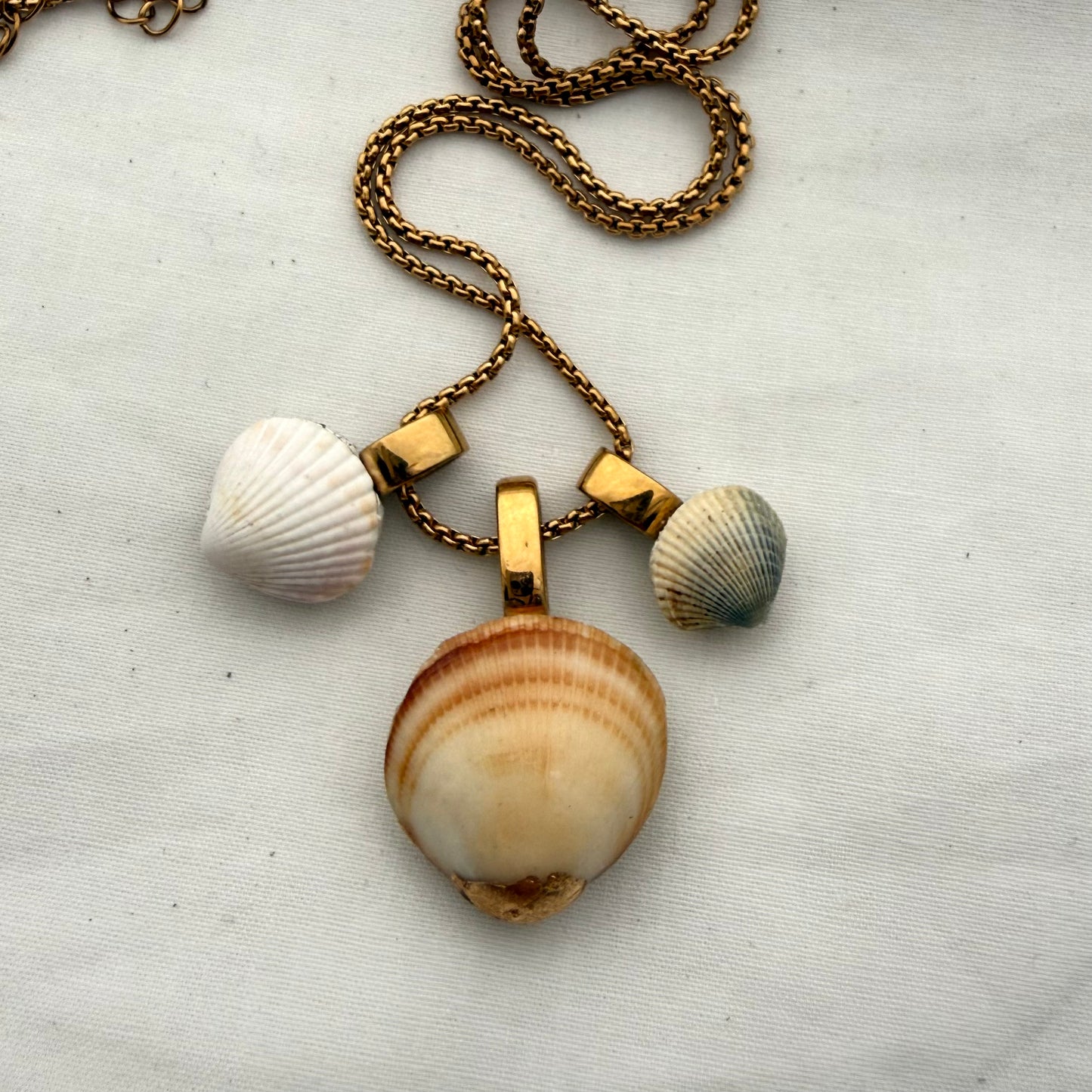 Shell Story Trio Necklace | The Clam Clan