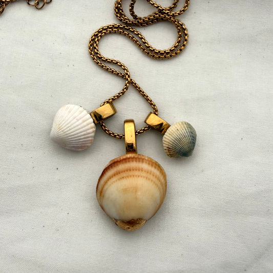 Shell Story Trio Necklace | The Clam Clan