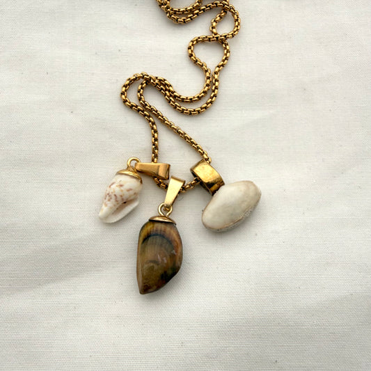 Shell Story Trio Necklace | Whelk, Mussel & Pipi