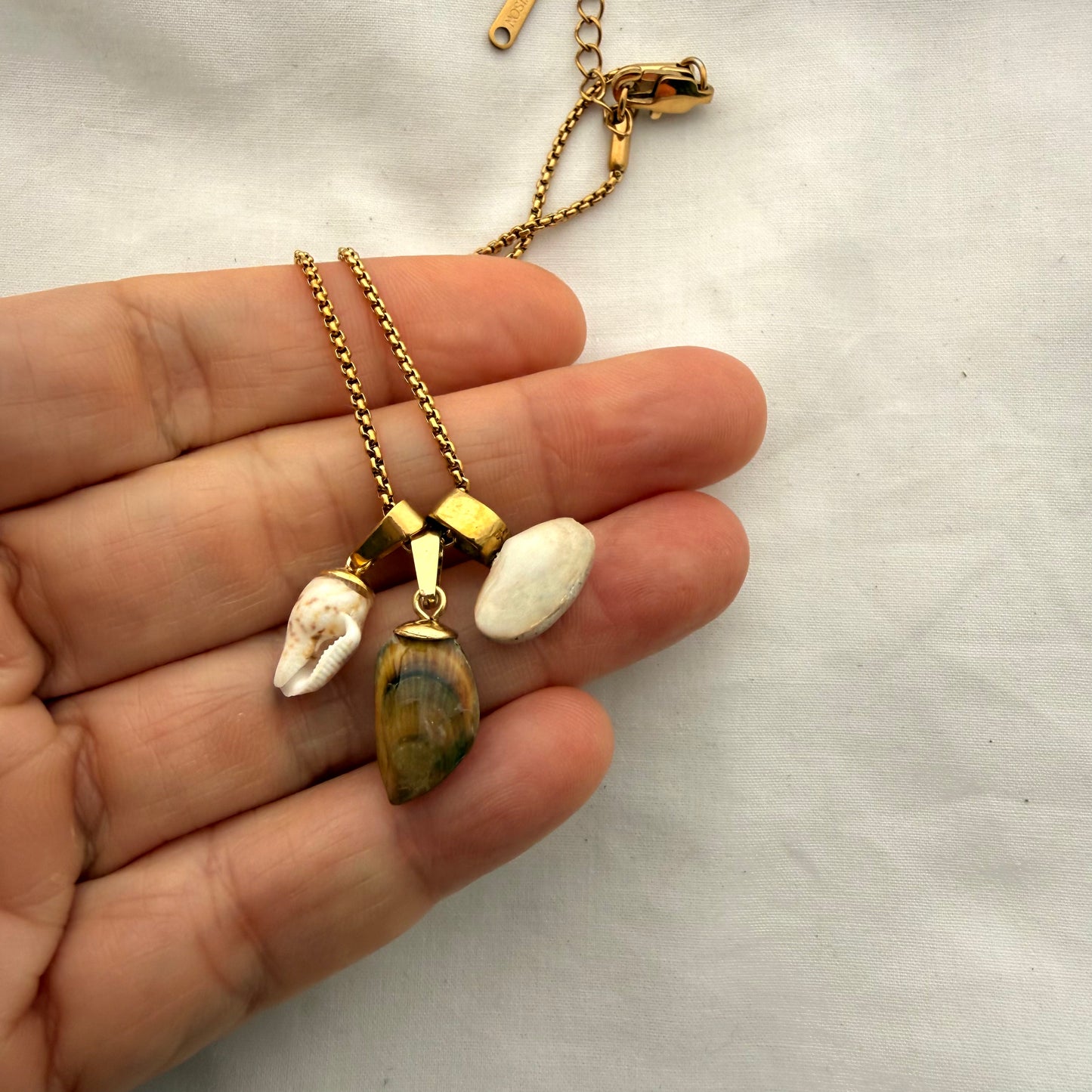 Shell Story Trio Necklace | Whelk, Mussel & Pipi