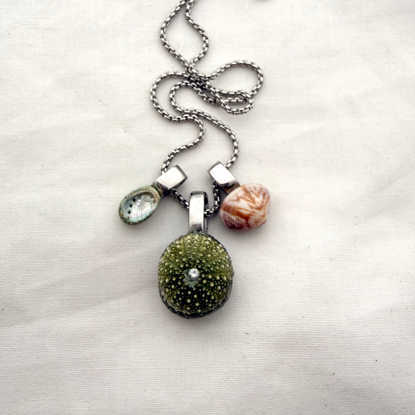 Shell Story Trio Necklace | Pāua, Kina & Cockle