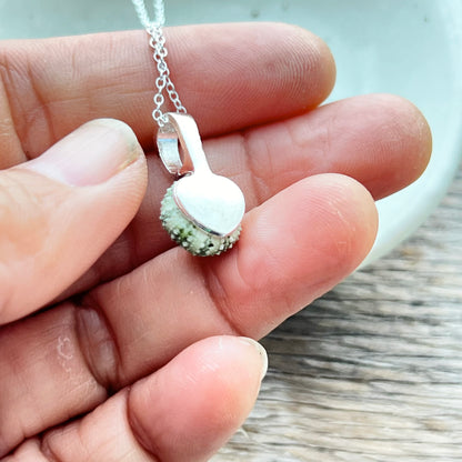 Tiny Whole Kina Shell 11mm Pendant With Cubic Zirconia Silver Necklace