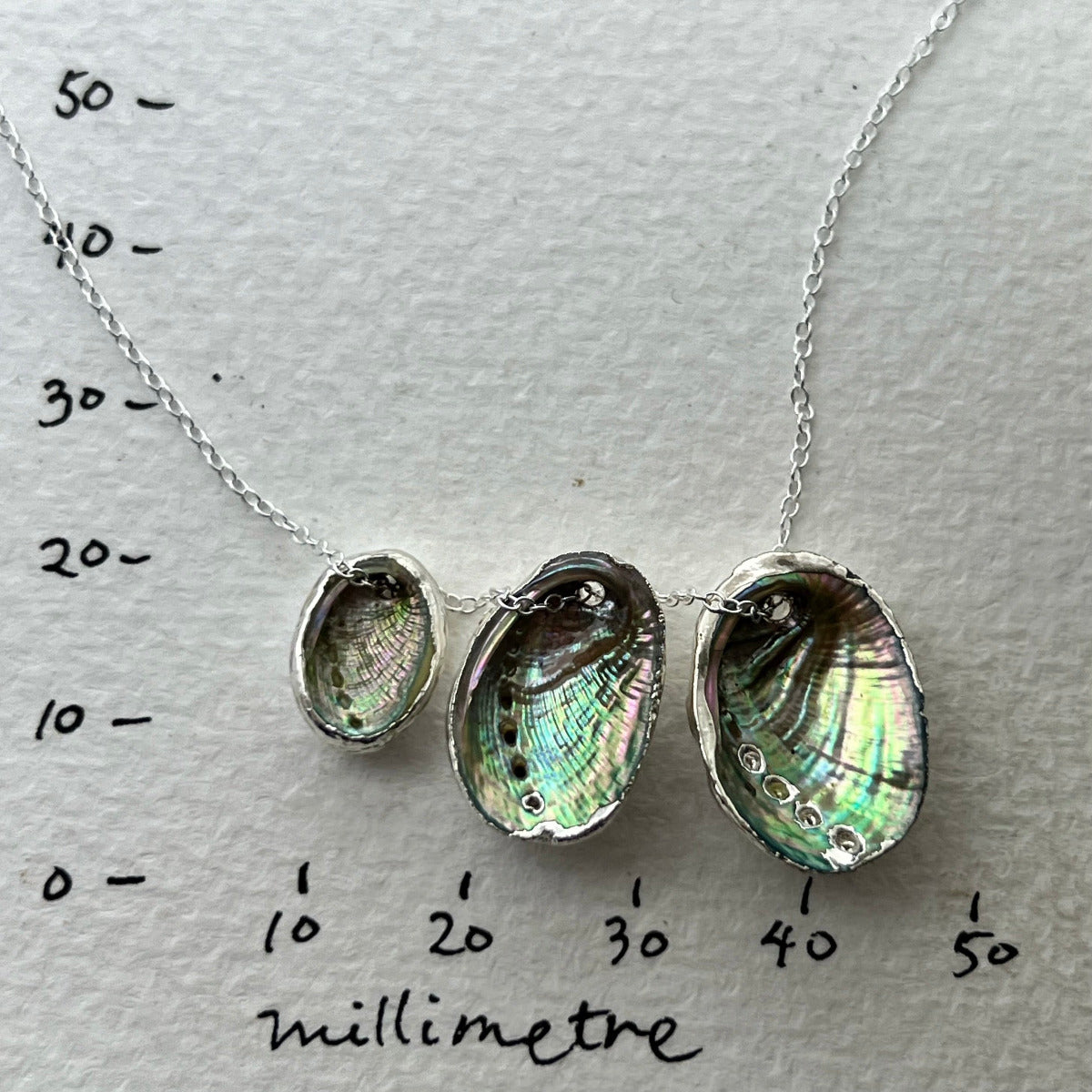 Paua Shell Cluster Family Silver-Backed Floating Necklace