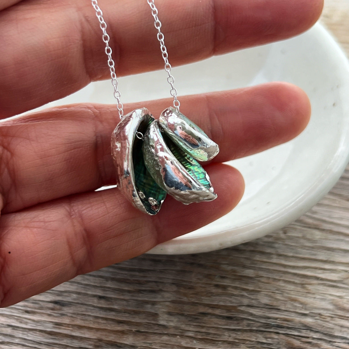 Paua Shell Cluster Family Silver-Backed Floating Necklace