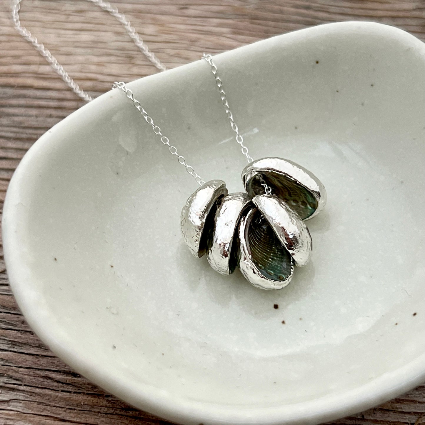 Paua Shell Cluster Family Silver-Backed Floating Necklace